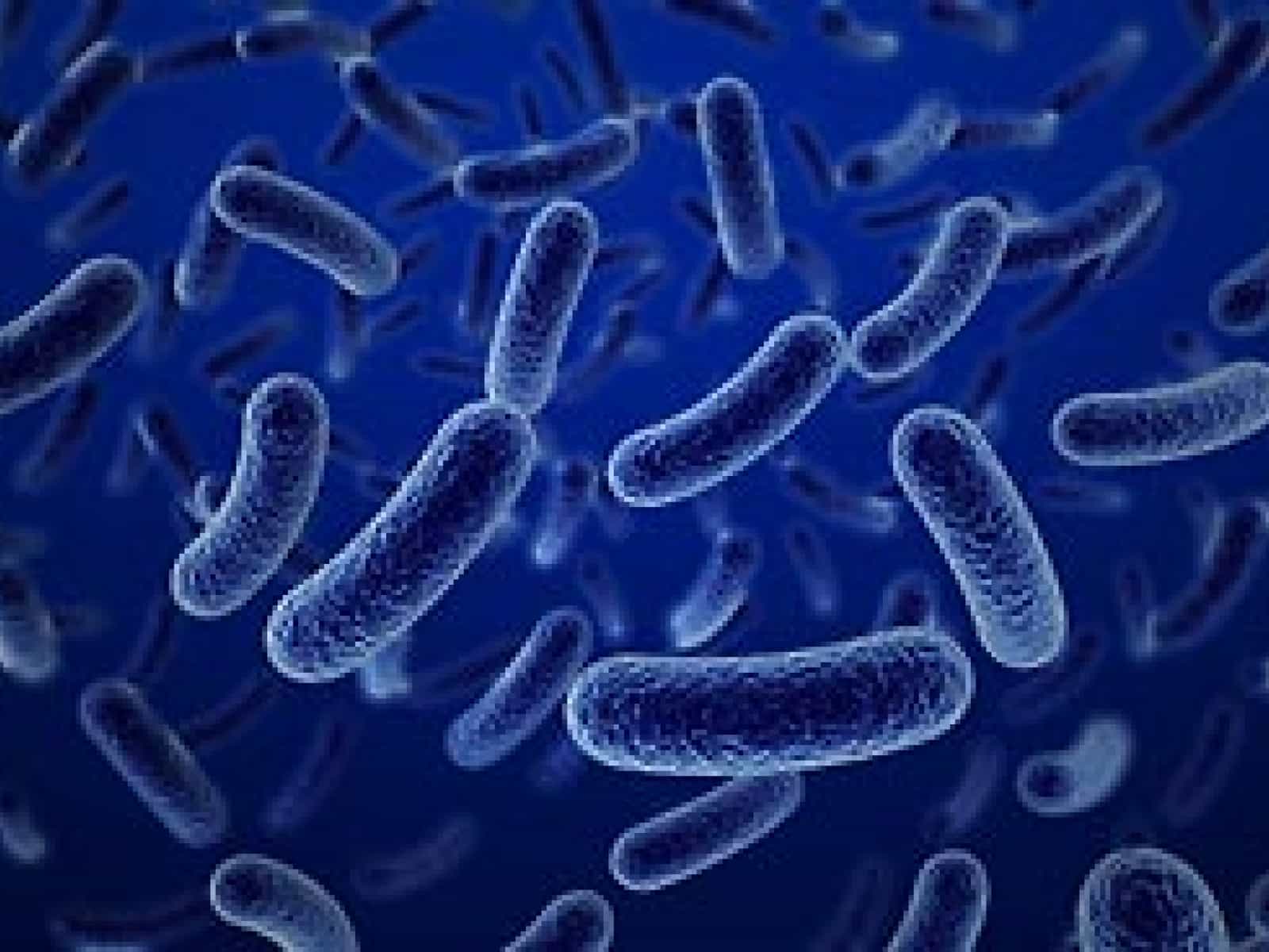 CONTROL DE LEGIONELLA