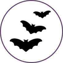 murciélagos